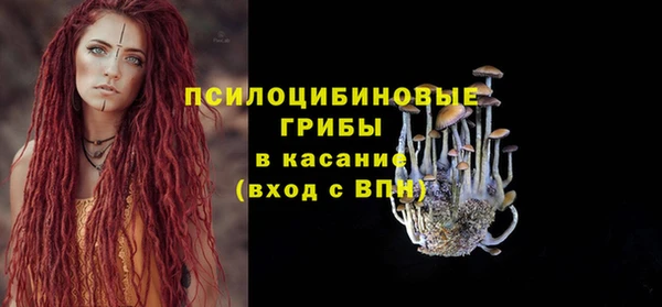 шишки Алексеевка
