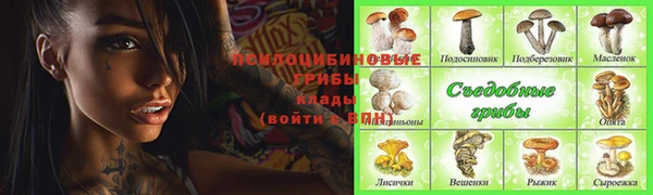 хмурый Алексин