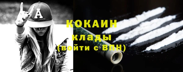 хмурый Алексин