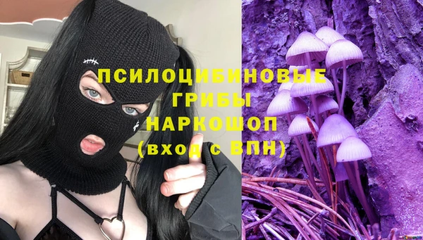 хмурый Алексин